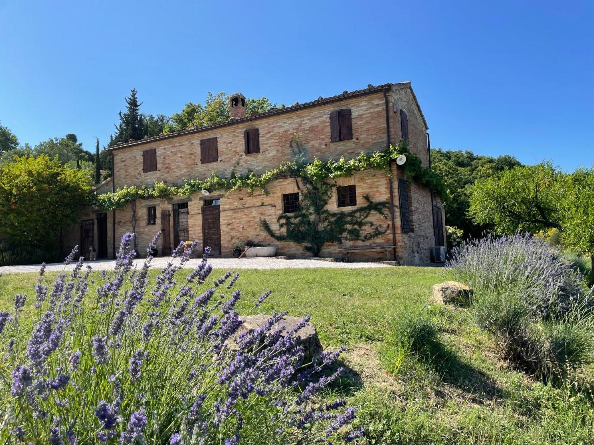 Bed and Breakfast L'Infinito Mombaroccio Экстерьер фото